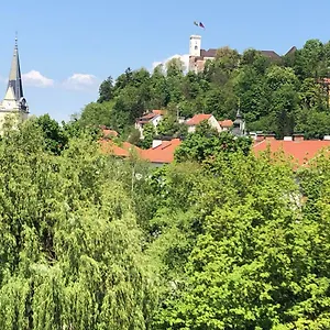  Apartment Castle View